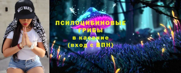 a pvp Богданович