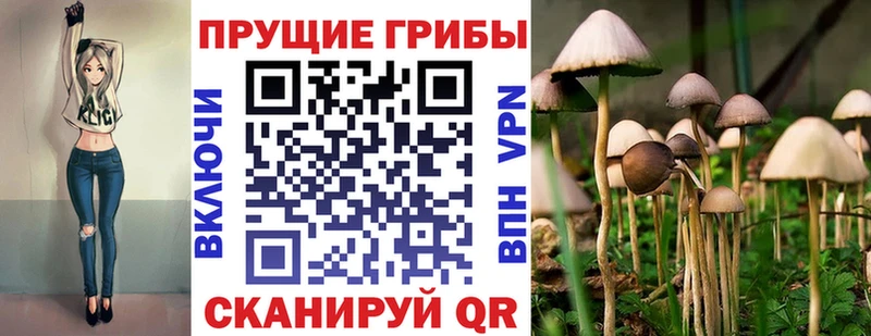Псилоцибиновые грибы Cubensis  Озёрск 