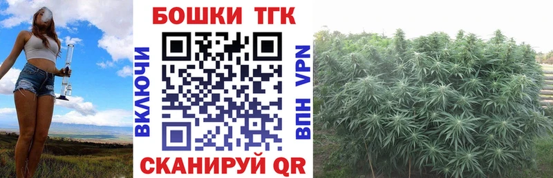 купить закладку  Озёрск  Конопля SATIVA & INDICA 